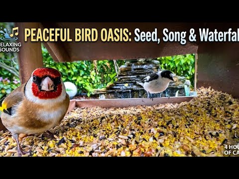 Peaceful, calm sounds of water and birdsong, my birds eating, long sleep,motivation,stress reduction