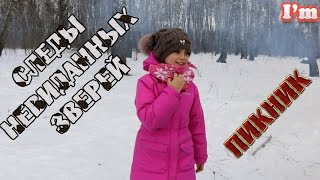 Зимний пикник. Изучаем следы невиданных зверей. Готовим на костре!