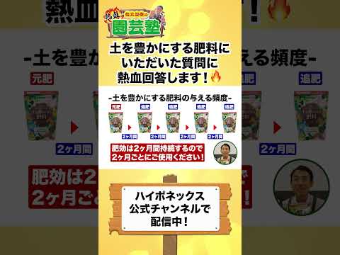 園芸 アンゼリカの肥料