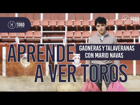 Diferencia entre gaoneras y talaveranas, con Mario Navas | APRENDE A VER TOROS