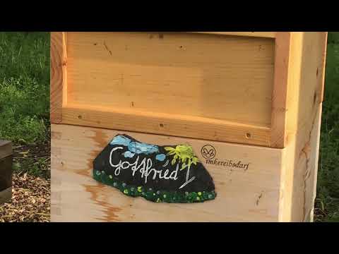 Gemeinsam mit uns durch das Bienenjahr