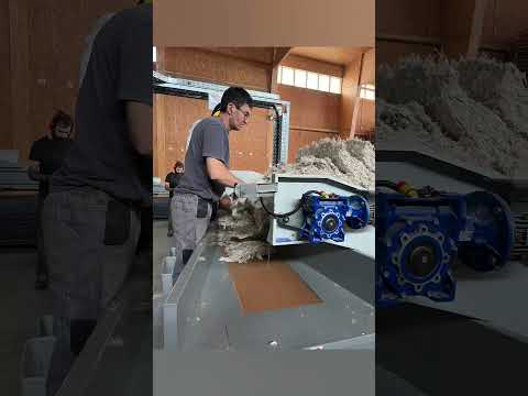 Ouateco recycle les TLC en isolants