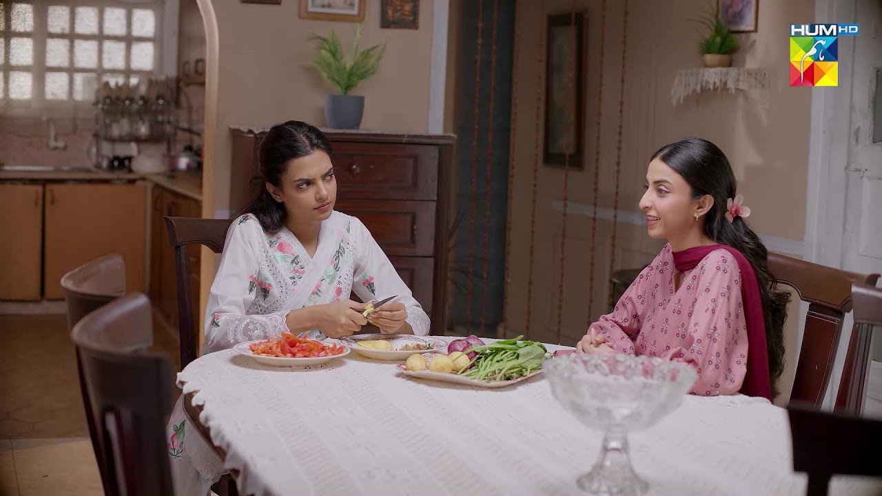 Mein Sabzi Piyaz Katne Nahi Ayi Susral...! #daamemohabbat - HUM TV