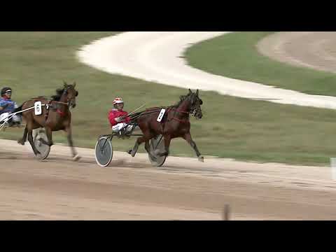 2023.09.23. 2. Futam - NYERETLEN KÉTÉVESEK VERSENYE Autóstart!