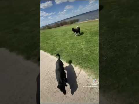 Más de San Miguel del Monte - Pcia de Buenos Aires