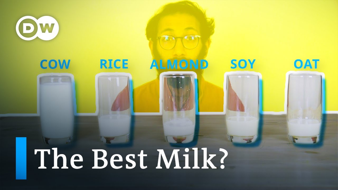 What’s the most climate-friendly milk?