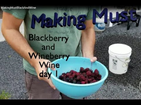 Making Must Black And WineBerry