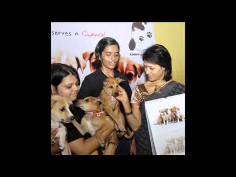 Actress Amala Akkineni with pet animals and dogs - must see