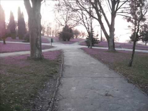 Artificial Dreamer- Maybe Tomorrow (Shiftplu5F8 & Blue Potion Remix)