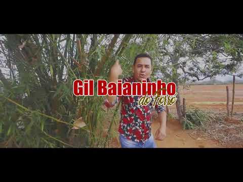 O BAMBU TÁ GEMENDO - GIL BAIANINHO DO FORRÓ (Official Music Video)CONTATO-074 999558167