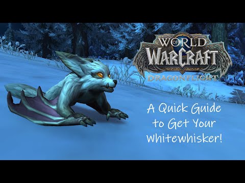 Dragonflight Battle Pets: A Quick Guide to Get Your Whitewhisker!