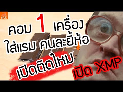 Exciter สำหรับผลิตภัณฑ์ของผู้หญิง การรักษาเยียวยาพื้นบ้านแรง