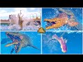 Mosasaurus All Perfect Animations 🦖 Jurassic World Evolution 2 Marine Reptiles