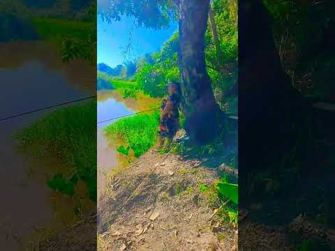 ###natureza#Rio jucuruçu Bahia
