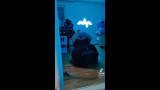 yt5s com Bugs Bunny new TikTok Challenge #BugsBunny #BugsBunnyTikTok 1080p 2