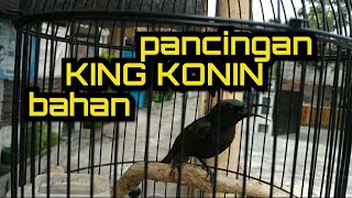 Download lagu pancingan King Konin bahan | malas bunyi | macet mp3