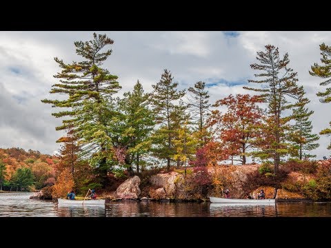 Lovesick Lake & Wolf Island - Paddling the Trent-Severn Waterway