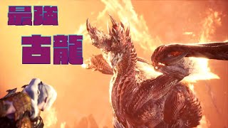 一般ハンターが神へ挑戦【モンスターハンターワールドアイスボーン新天地で狩猟生活】
