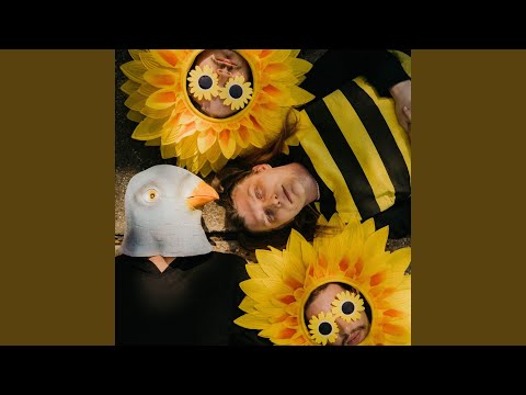 Birds And The Bees - Dexter and the Moonrocks