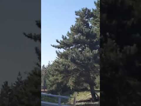 Ջերմուկը կրկին կրակի տակ է