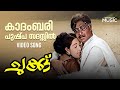 Kadambari Pushpa Sadhassil Romantic Full Video Song Chukku Movie Madhu Sheela