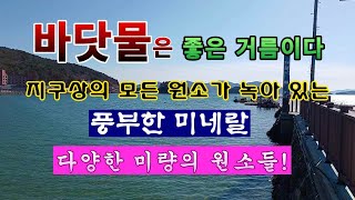 [텃밭농부 1,782]  바닷물은 좋은 거름이다. 풍부한 미네랄과 다양한 미량의 원소가 녹아 있는 .. #바…