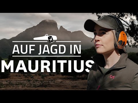 Deer hunting in Mauritius | Between Rusa deer and Blue Marlin