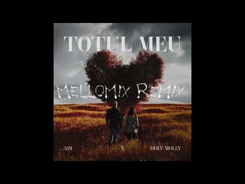 ADI x @HolyMollyMusic - Totul meu (MelloRemix)