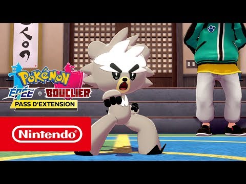 Pokémon Épée et Bouclier : L'île solitaire de l'Armure - Les Tours des Deux Poings (Nintendo Switch)