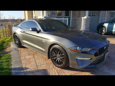 2018 Mustang GT Borla ATAK Cat Back Cold start