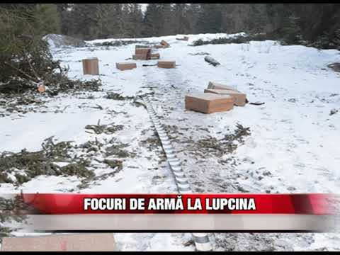 Focuri de armă la Lupcina