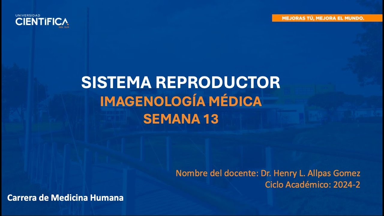 IMAGENOLOGÍA TEORÍA SEMANA 13