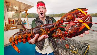 How Lobstermen Trap Giant Lobsters in Maine!!