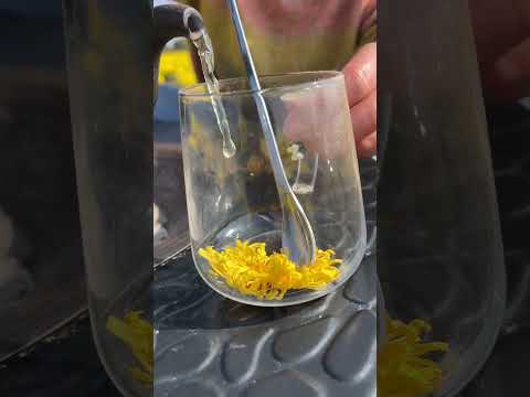 Beautiful Nature - Inspur Fresh Fruit wonderful video of Industry #5648