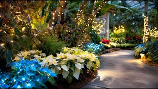 ✨ Elegant Tropical Christmas Garden: Luxury Decorating Ideas for a Festive Oasis!