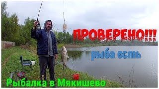 Платная рыбалка в наро фоминске