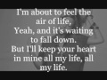 Selah Sue - Fade Away with lyrics 