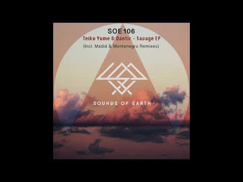 SOE106 Teiko Yume & Qantic - Doublespeak (Original Mix)