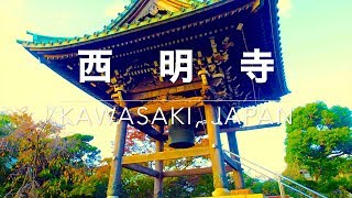 犬散歩：西明寺