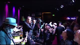 Waterslide - The Dickies LIVE @retrojunkiebar