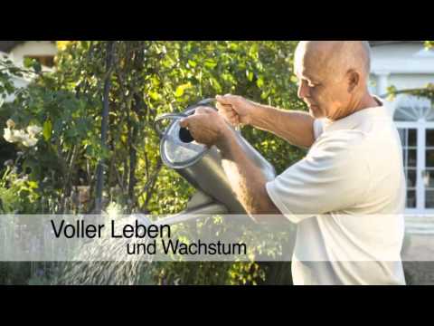 Gartenbau Zierpflanzenproduktion in Callenberg bei Hohenstein-Ernstthal