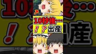 10秒後･･･母猫が子猫を産んだら「どうしてこうなった！？」 #shorts #博麗霊夢 #ゆっくり茶番劇
