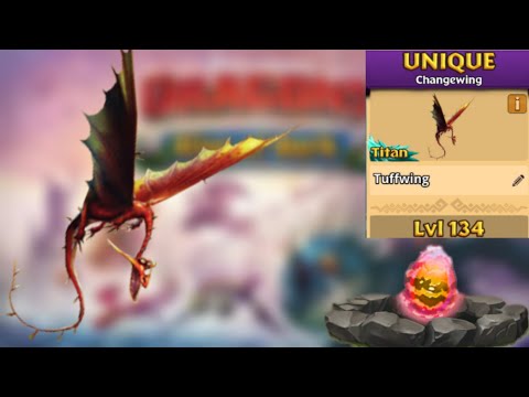 Tuffwing Max Level 134 Titan Mode - New Unique Changewing - Dragons:Rise of Berk