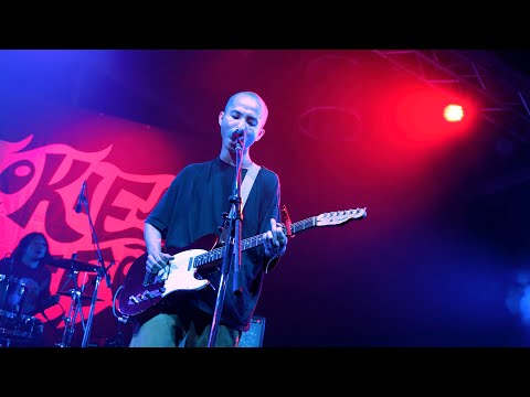 Nikoん – step by step（FUJI ROCK FESTIVAL’24 “ROOKIE A GO-GO”）