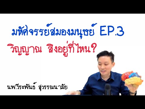 คลิกเพื่อดูคลิปวิดีโอ