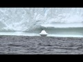 Antarctica 2013 S B