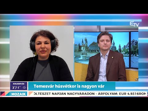 Temesvár, te csodás! – Mozaik