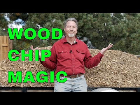 Woodchips: Add Flavor To Your Food - Lake Side Smokers