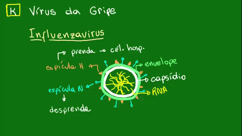 Estrutura do vírus da gripe - Diversidade dos Seres Vivos - Biologia