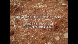 preview picture of video 'Cidadão arruma rua com recursos próprios em Laranjeiras do Sul'